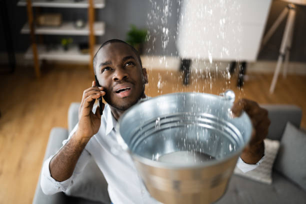 Best Basement water damage restoration  in Aberdeen, IN