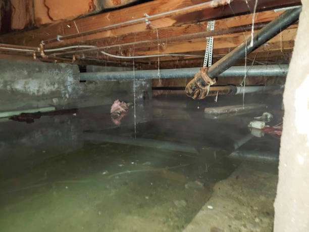 Best Water damage restoration experts  in Aberdeen, IN