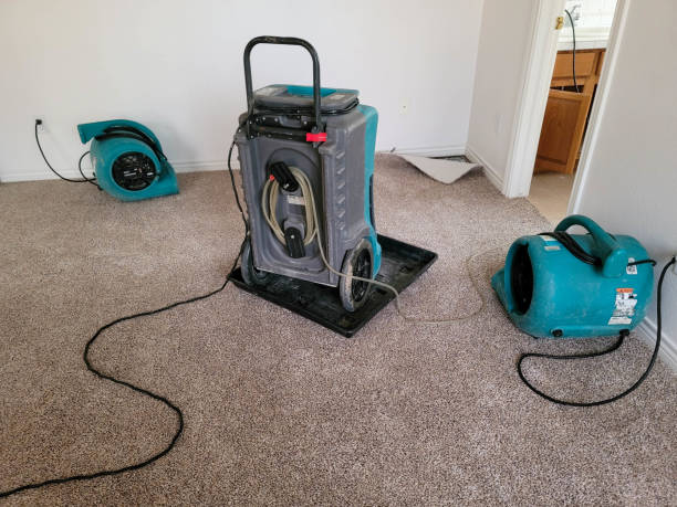 Best Mold removal after water damage  in Aberdeen, IN