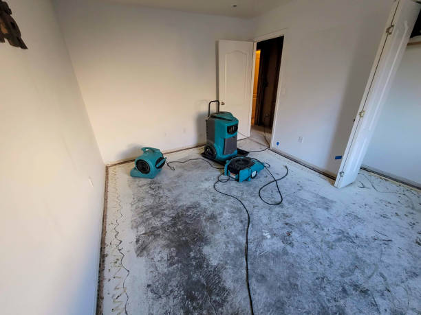 Aberdeen, IN Water damage restoration Pros
