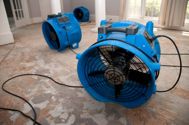 Best Water damage restoration services  in Aberdeen, IN