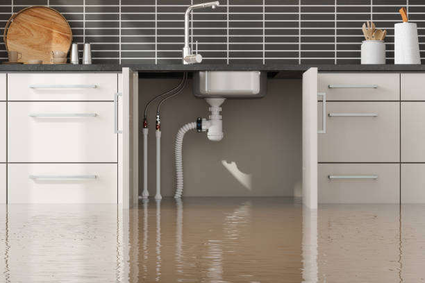 Best Residential water damage restoration  in Aberdeen, IN