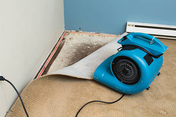 Water damage restoration experts in IN